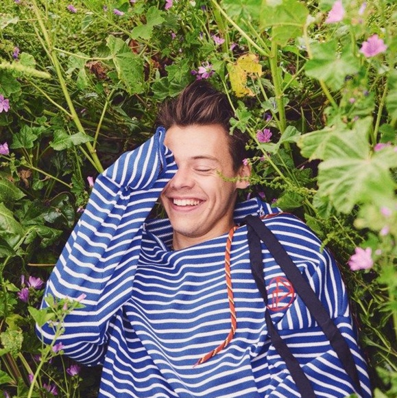 harrysweater